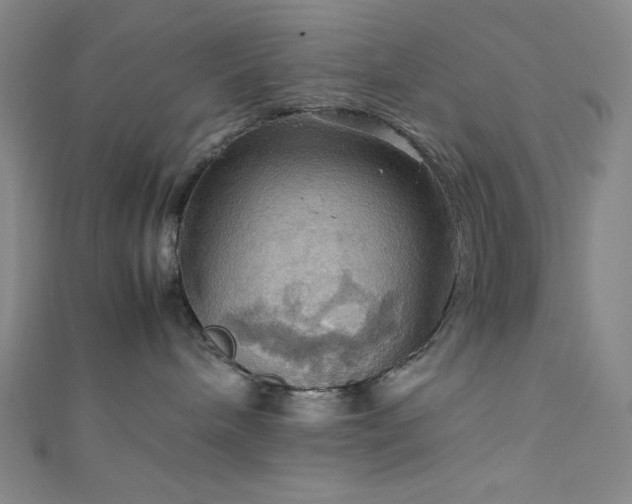 X0000111860240200907231458