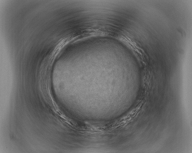X0000111860241200907231458