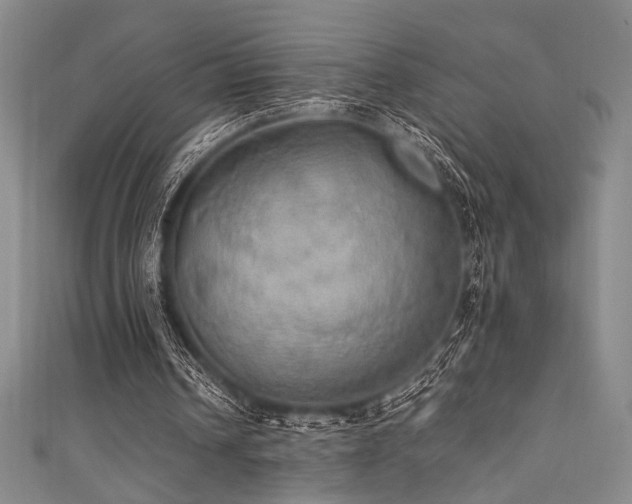 X0000111860242200907231458