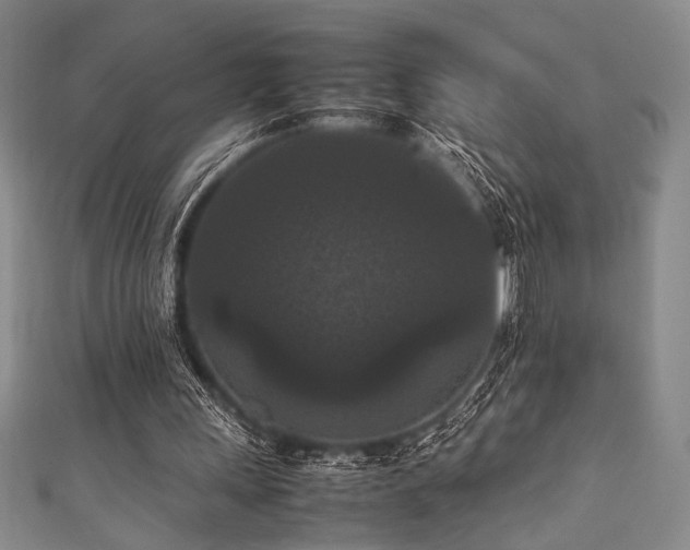 X0000111860243200907231458