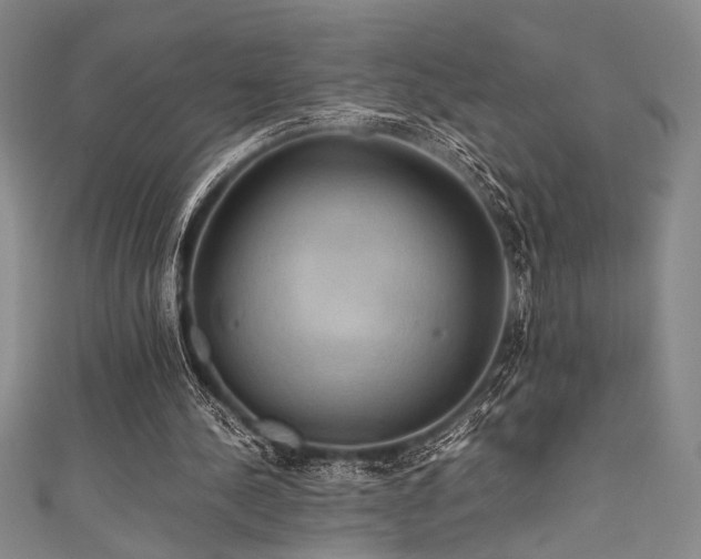 X0000111860244200907231458