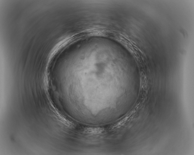 X0000111860245200907231458
