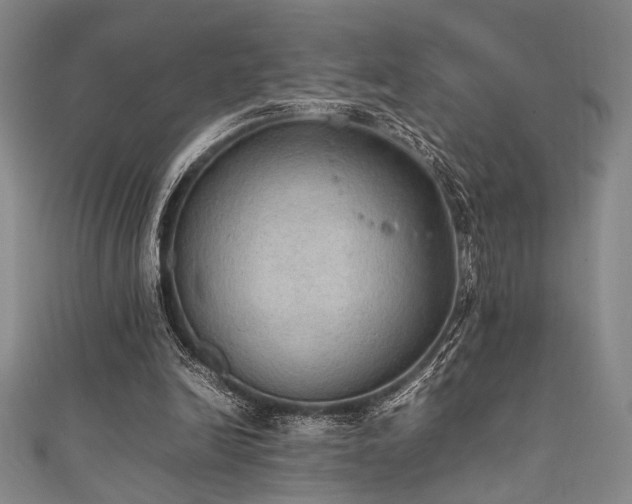 X0000111860246200907231458