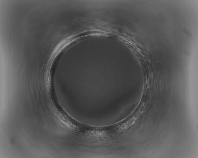 X0000111860247200907231458