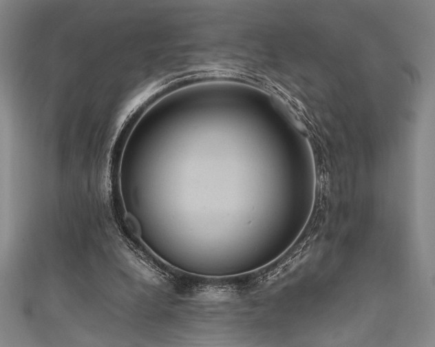 X0000111860248200907231458