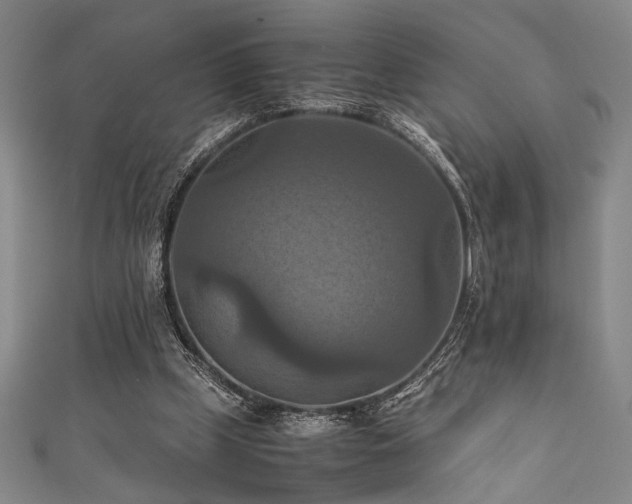 X0000111860249200907231458