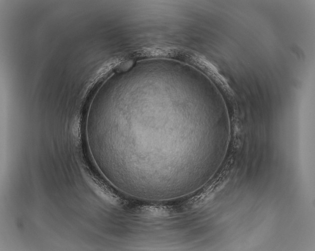 X0000111860250200907231458