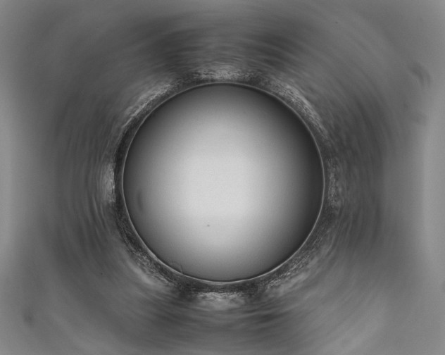 X0000111860251200907231458