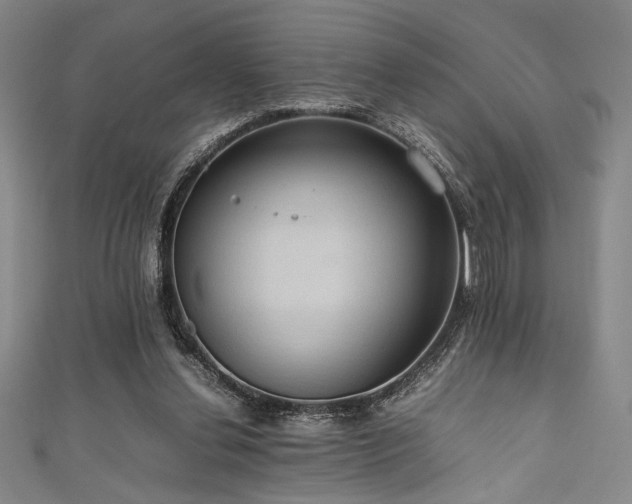 X0000111860252200907231458