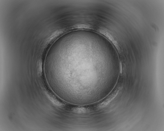 X0000111860253200907231458
