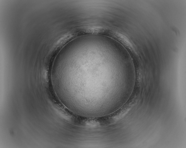 X0000111860258200907231458