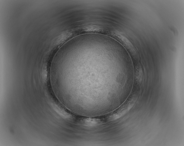 X0000111860261200907231458
