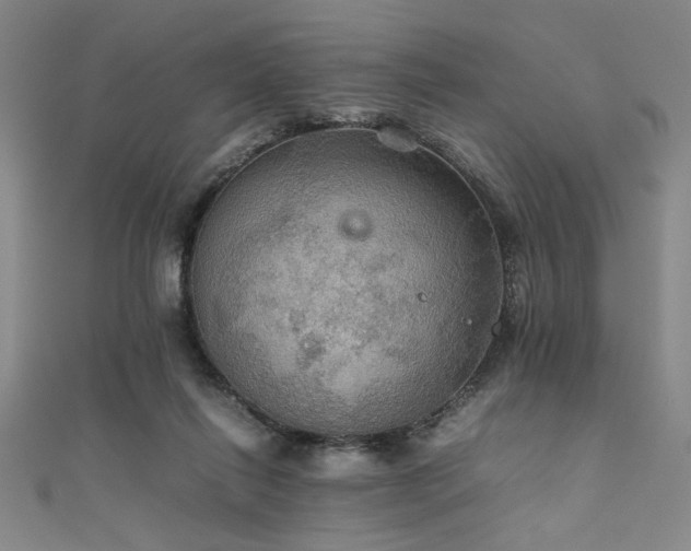 X0000111860262200907231458