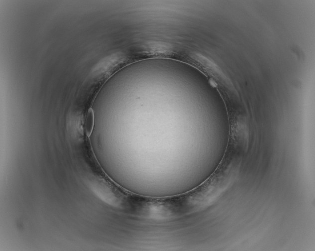 X0000111860264200907231458