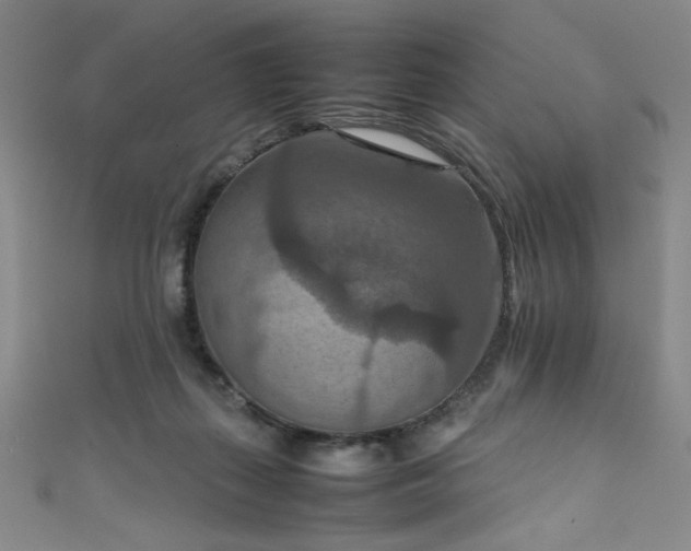 X0000111860267200907231458