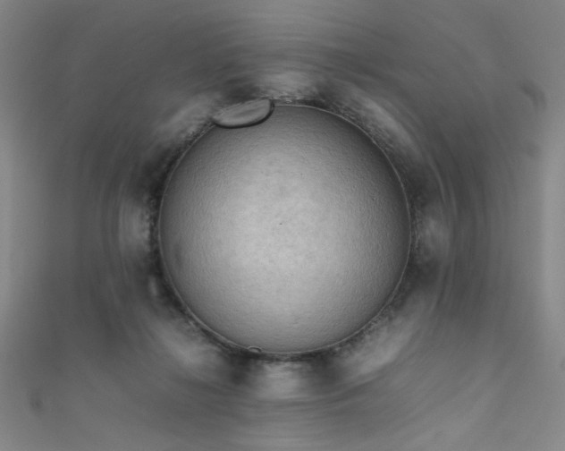 X0000111860268200907231458