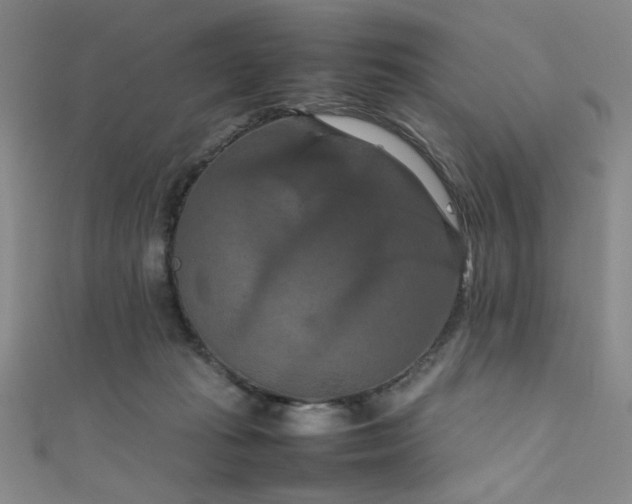 X0000111860269200907231458