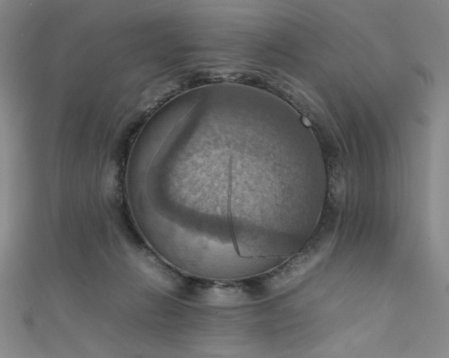 X0000111860270200907231458