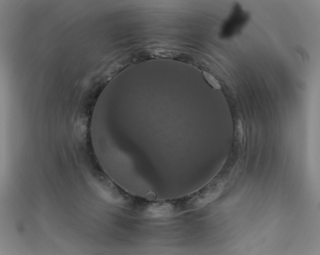 X0000111860271200907231458
