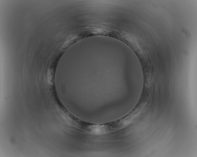 X0000111860273200907231458