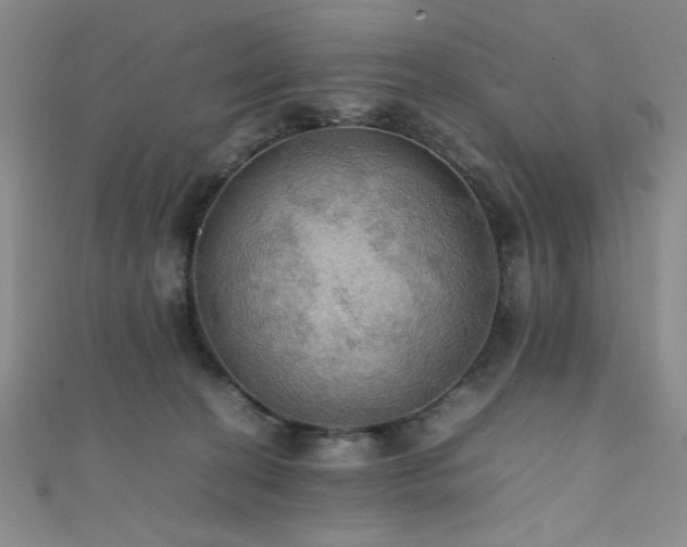 X0000111860274200907231458