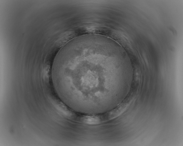 X0000111860275200907231458