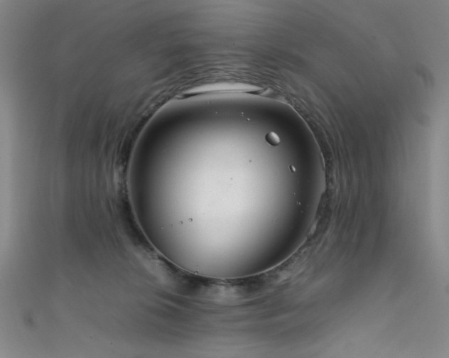 X0000111860276200907231458