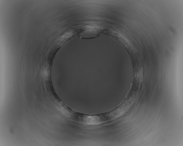 X0000111860277200907231458