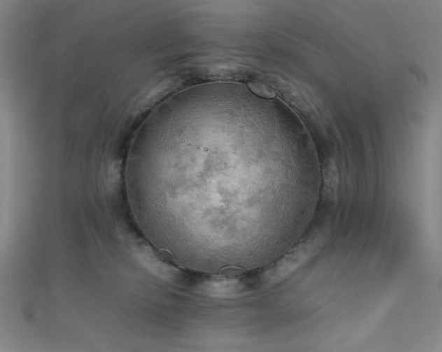 X0000111860278200907231458