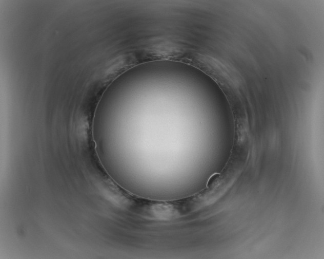 X0000111860279200907231458