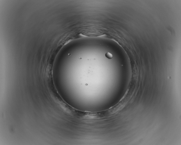 X0000111860280200907231458