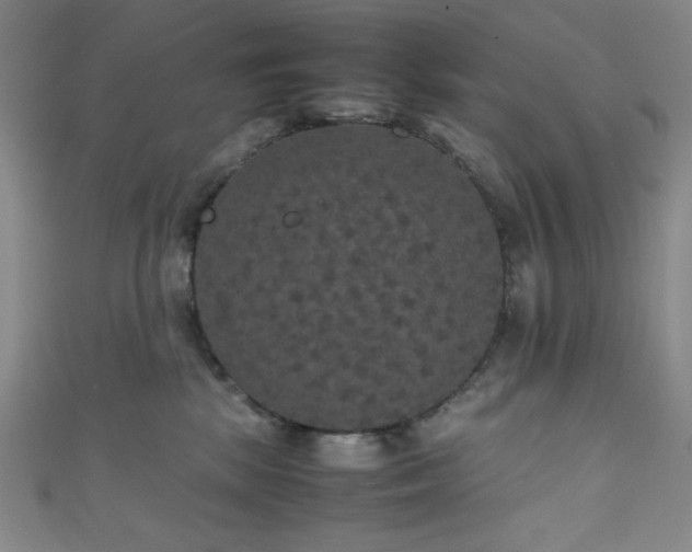 X0000111860281200907231458