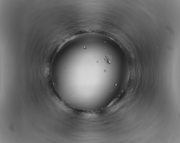 X0000111860284200907231458
