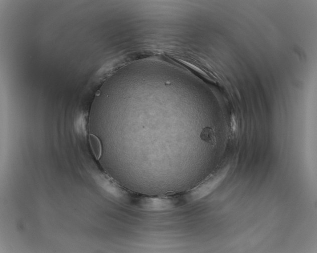 X0000111860286200907231458