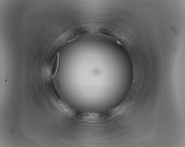 X0000111860288200907231458