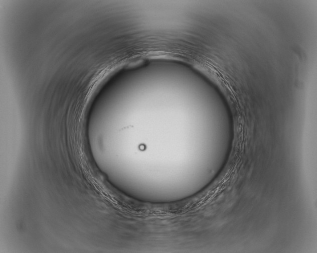 X0000111860289200907231458