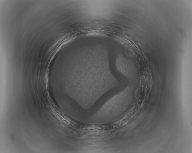X0000111860290200907231458