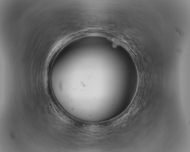 X0000111860293200907231457
