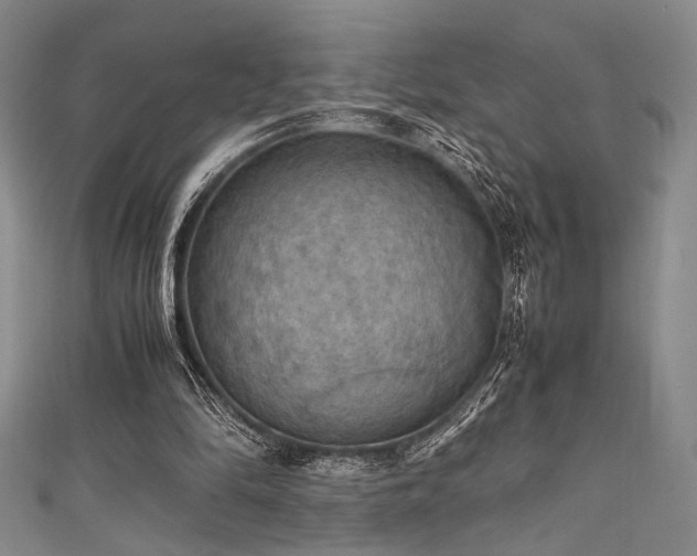 X0000111860294200907231457