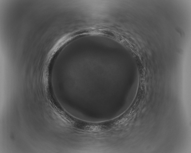 X0000111860295200907231457