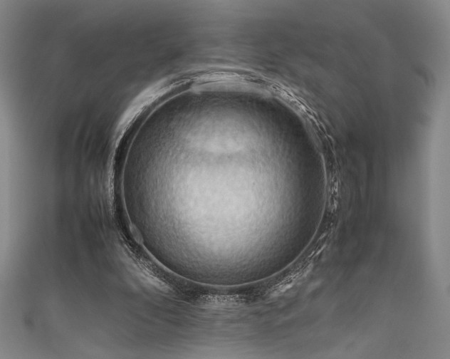 X0000111860296200907231457