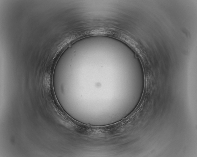 X0000111860297200907231457