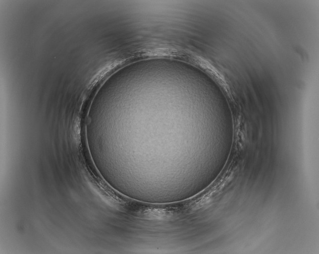 X0000111860298200907231457