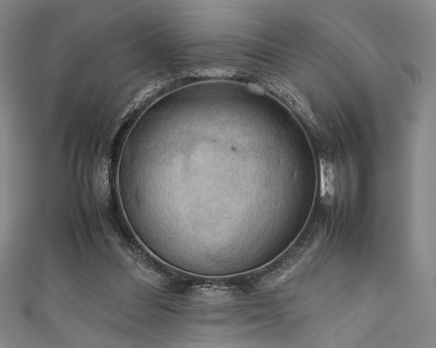 X0000111860300200907231457