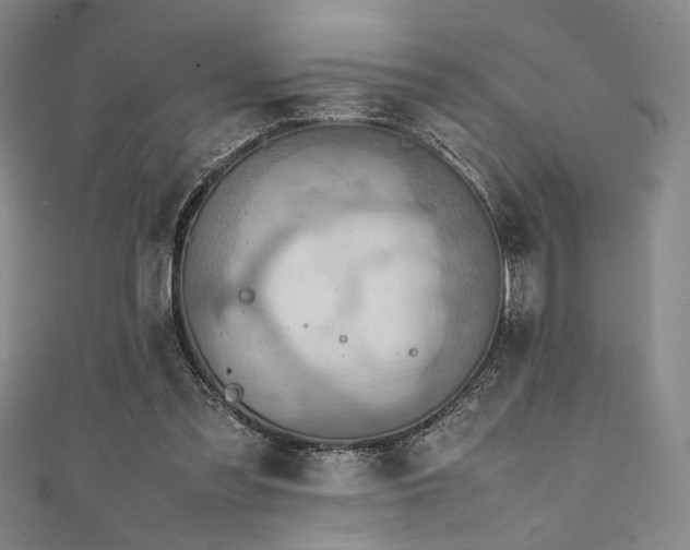 X0000111860301200907231457