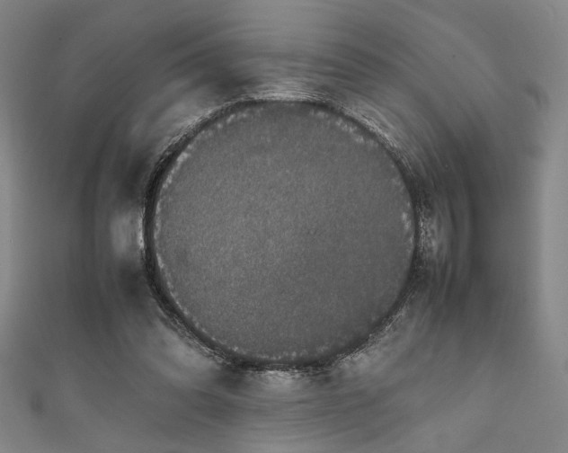 X0000111860302200907231457