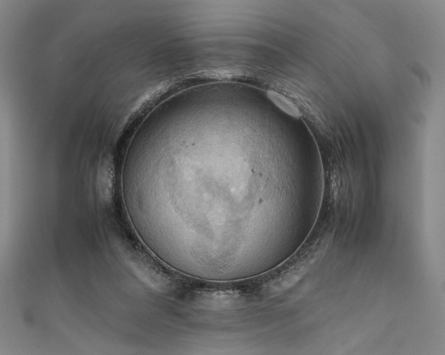 X0000111860304200907231457