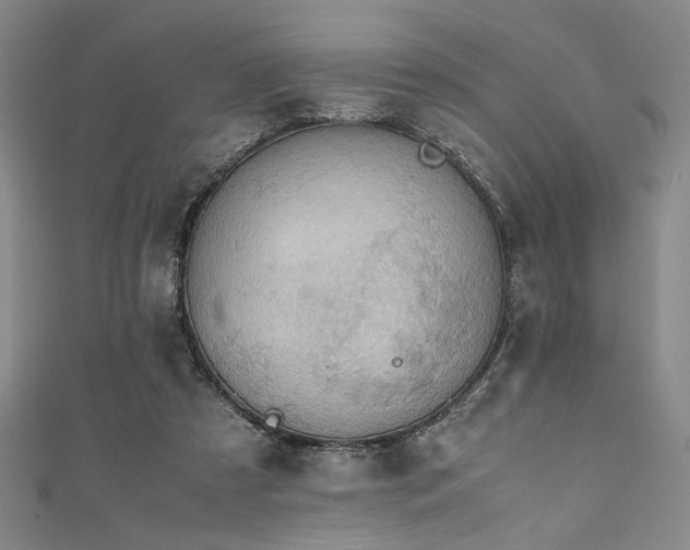X0000111860305200907231457