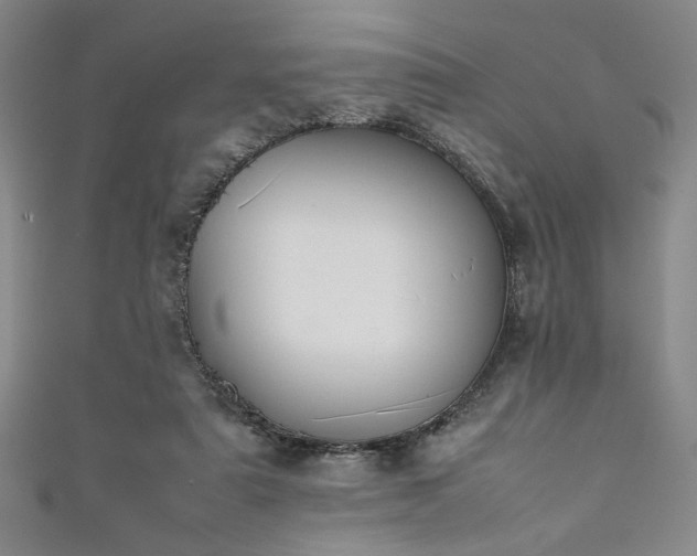 X0000111860307200907231457