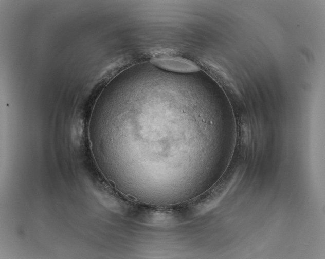 X0000111860308200907231457